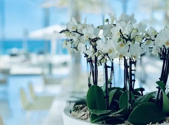 Aromar Hotel Platja d'Aro