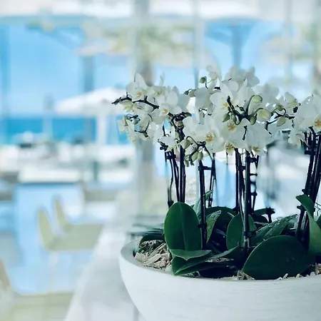 Aromar Ξενοδοχείο Platja d'Aro